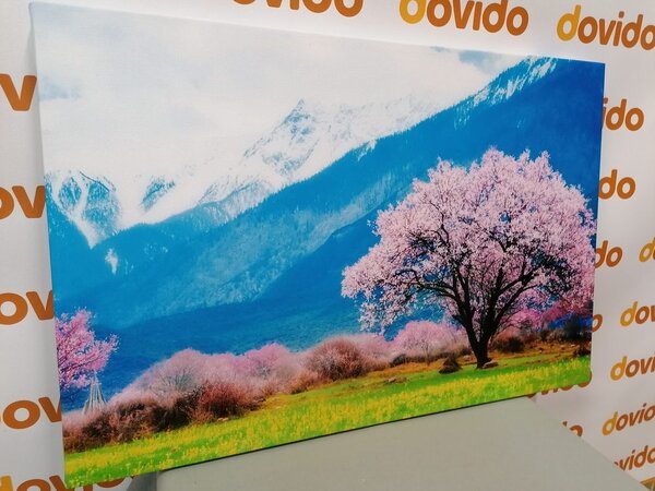 Πίνακας σε καμβά μαγικό δέντρο ανάμεσα στα βουνά