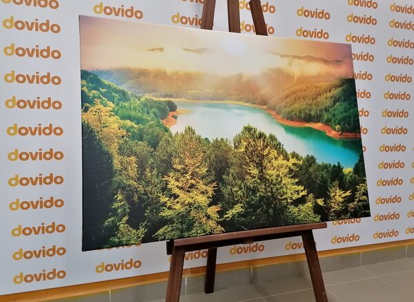 Πίνακας σε καμβά ποτάμι μέσα σε πράσινο δάσος