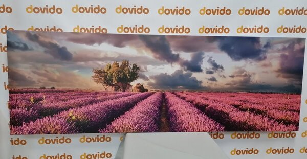 Πίνακας σε καμβά χώρα των λεβάντων