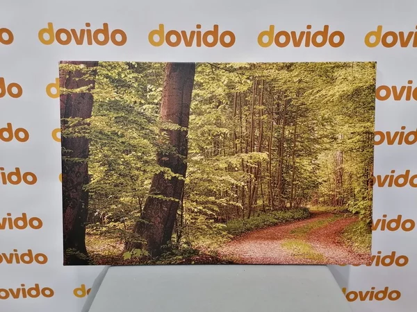 Πίνακας σε καμβά πράσινο δάσος