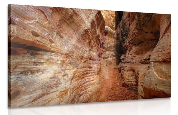Πίνακας σε καμβά μονοπάτι στο Grand Canyon