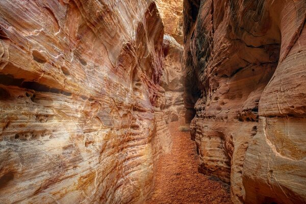 Πίνακας σε καμβά μονοπάτι στο Grand Canyon