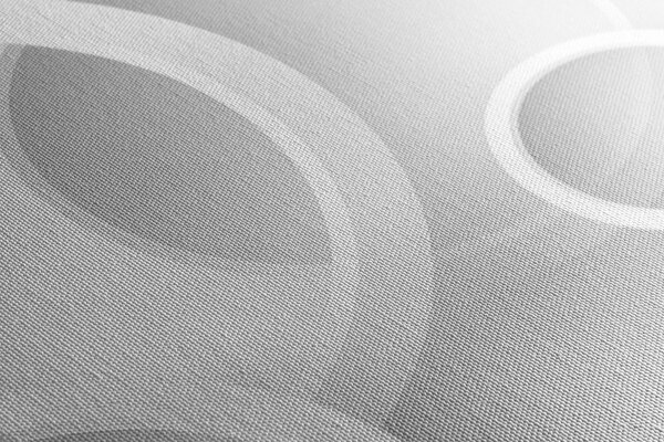Πίνακας σε καμβά κοσμήματα σε ασπρόμαυρη εκδοχή