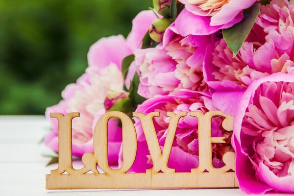 Πίνακας σε καμβά παιώνιες με επιγραφή Love