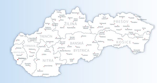 Πίνακας σε καμβά χάρτης της Σλοβακίας