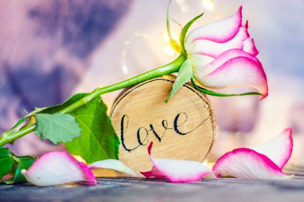 Πίνακας σε καμβά ρομαντική εξομολόγηση Love