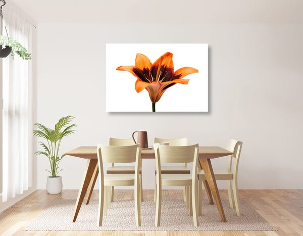 Πίνακας σε καμβά πορτοκαλί κρίνος