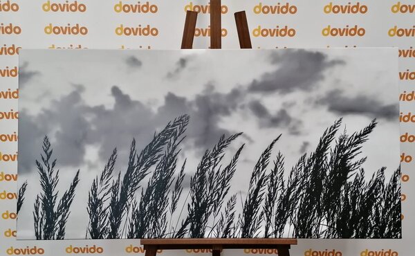 Πίνακας σε καμβά γρασίδι σε ασπρόμαυρη εκδοχή
