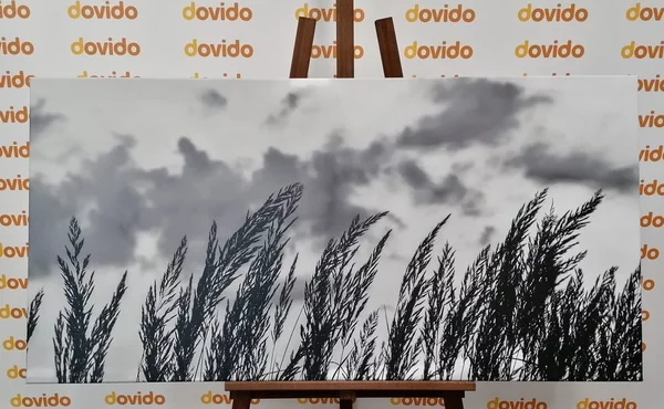 Πίνακας σε καμβά γρασίδι σε ασπρόμαυρη εκδοχή