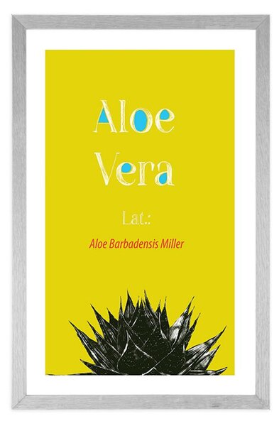 Αφίσα θαυματουργή Aloe Vera