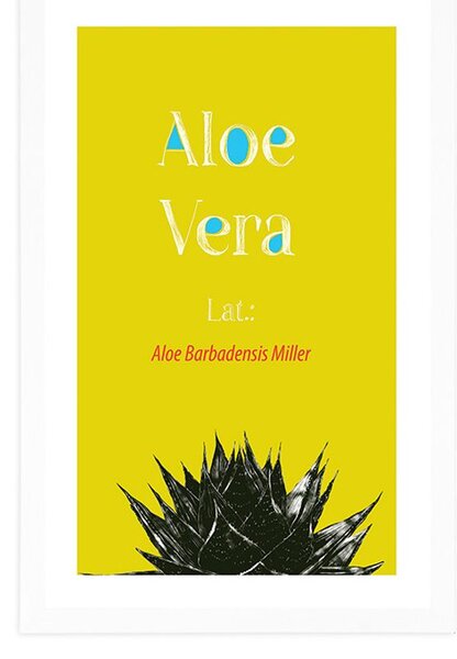 Αφίσα θαυματουργή Aloe Vera