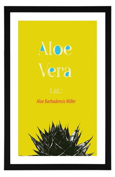 Αφίσα θαυματουργή Aloe Vera