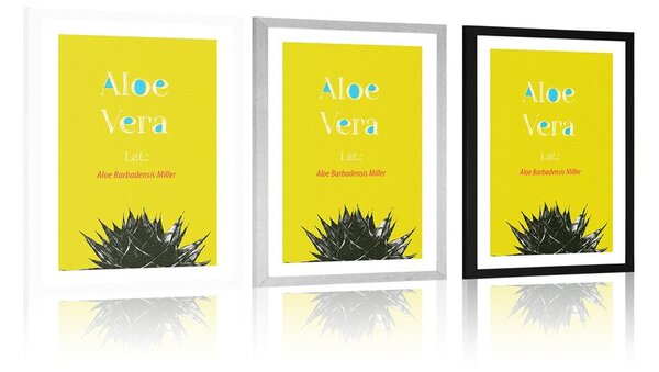 Αφίσα θαυματουργή Aloe Vera