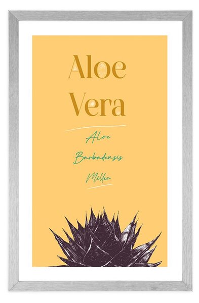 Αφίσα με στυλάτη επιγραφή Aloe Vera