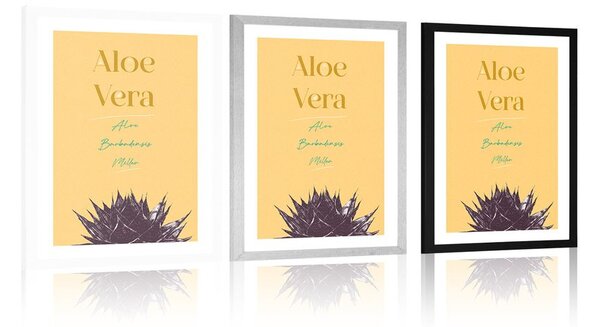 Αφίσα με στυλάτη επιγραφή Aloe Vera