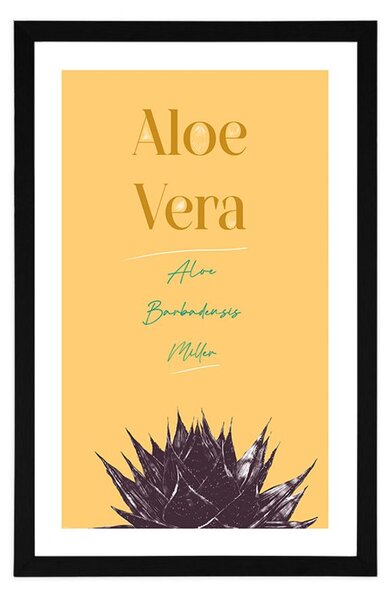 Αφίσα με στυλάτη επιγραφή Aloe Vera