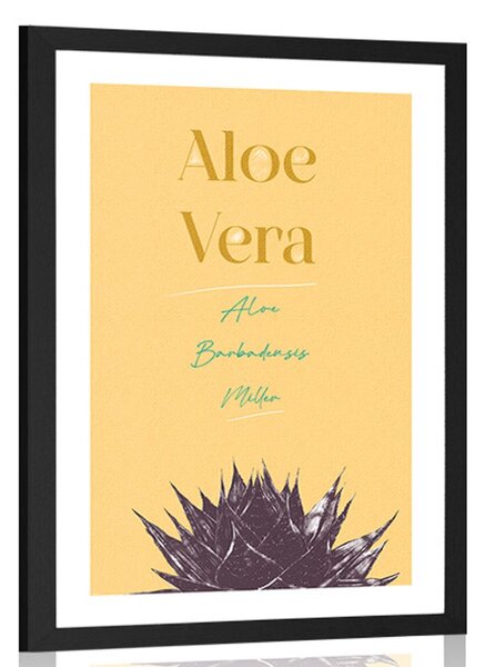 Αφίσα με στυλάτη επιγραφή Aloe Vera