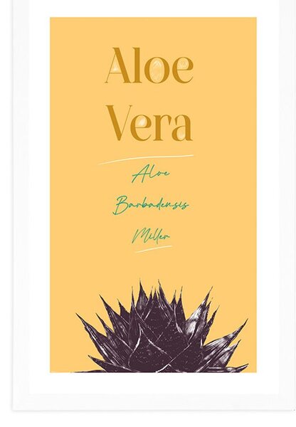 Αφίσα με στυλάτη επιγραφή Aloe Vera