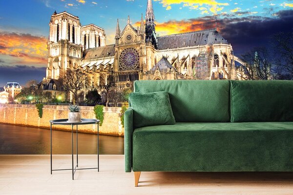 Φωτοταπετσαρία καθεδρικός ναός Notre Dame