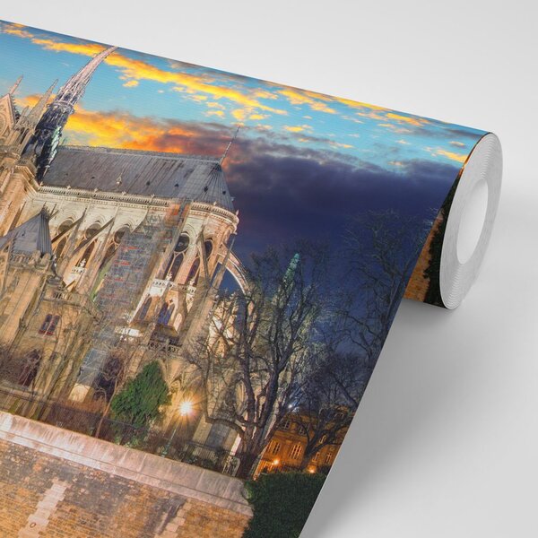 Φωτοταπετσαρία καθεδρικός ναός Notre Dame