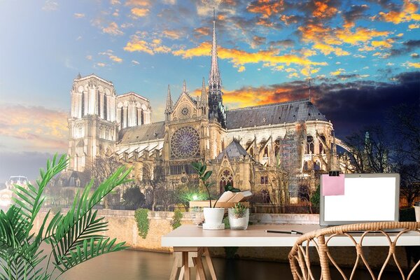 Φωτοταπετσαρία καθεδρικός ναός Notre Dame