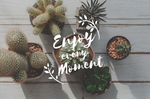 Ταπετσαρία τοίχου με απόφθεγμα - Enjoy every moment