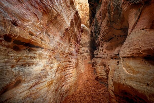 Φωτοταπετσαρία μονοπάτι στο Grand Canyon