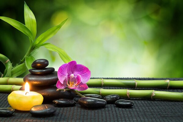 Αυτοκόλλητη φωτοταπετσαρία νεκρή φύση Feng Shui