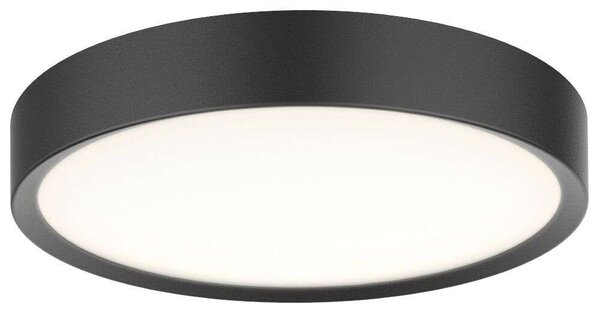 Halo Design - Universal LED Φωτιστικό οροφής Ø43 Μαύρο Halo Design