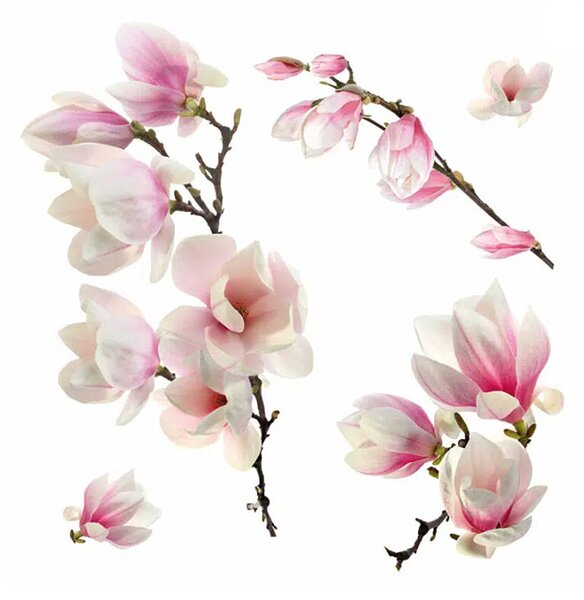 Αυτοκόλλητα Παραθύρου Διπλής Όψης Ango Magnolia 64006