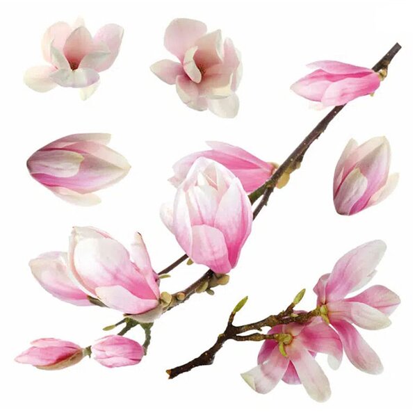 Αυτοκόλλητα Παραθύρου Διπλής Όψης Ango Magnolia 64006