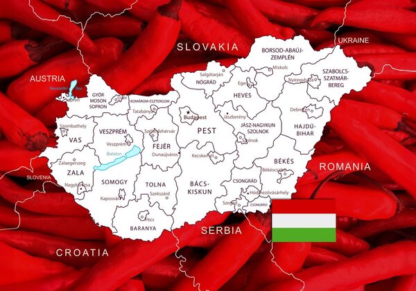 Πίνακας σε καμβά χάρτης της Ουγγαρίας με χαρακτηριστικό φόντο