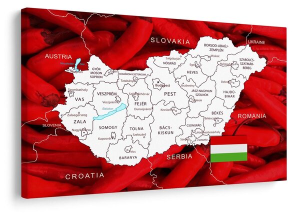 Πίνακας σε καμβά χάρτης της Ουγγαρίας με χαρακτηριστικό φόντο