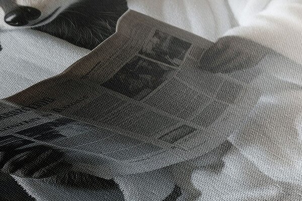 Πίνακας σε καμβά ρακούν με εφημερίδες στην τουαλέτα