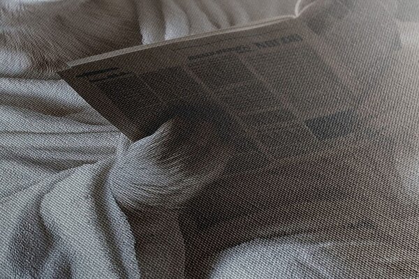 Πίνακας σε καμβά πολική αρκούδα με εφημερίδες στην τουαλέτα