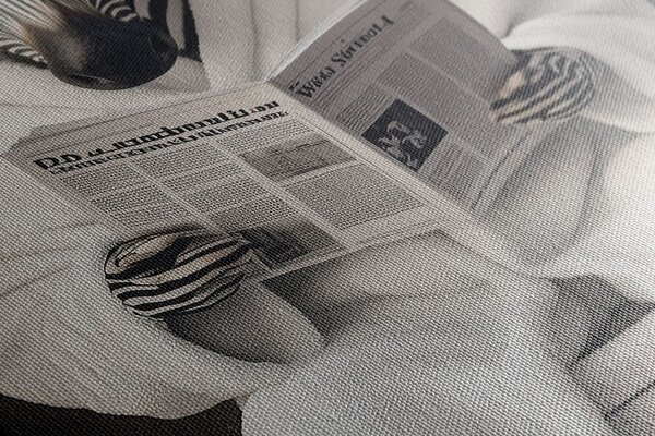 Πίνακας σε καμβά ζέβρα με εφημερίδα στην τουαλέτα