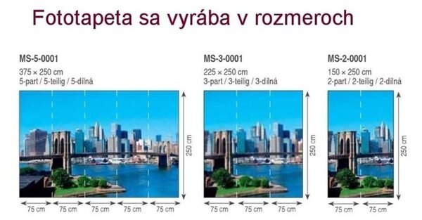 Φωτοταπετσαρία βετεράνος