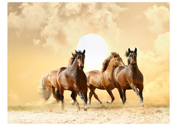 Φωτοταπετσαρία τρέξιμο αλόγων - Running horses
