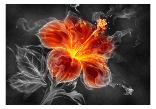 Φωτοταπετσαρία κρίνος στον καπνό - Fiery flower inside the smoke