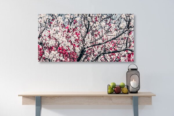 Πίνακας σε καμβά άνθη ροδακινιάς