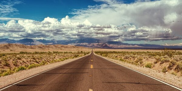 Πίνακας σε καμβά μονοπάτι στην έρημο