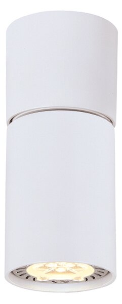 Σποτ Μονόφωτο Aca Elitis RA301S6WH White