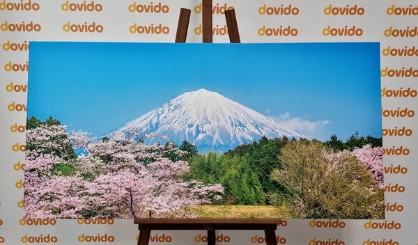 Πίνακας σε καμβά όρος Fuji