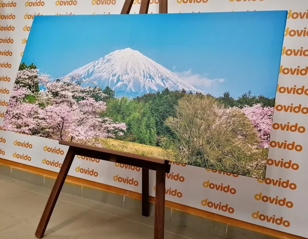 Πίνακας σε καμβά όρος Fuji