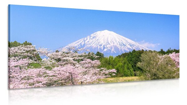 Πίνακας σε καμβά όρος Fuji