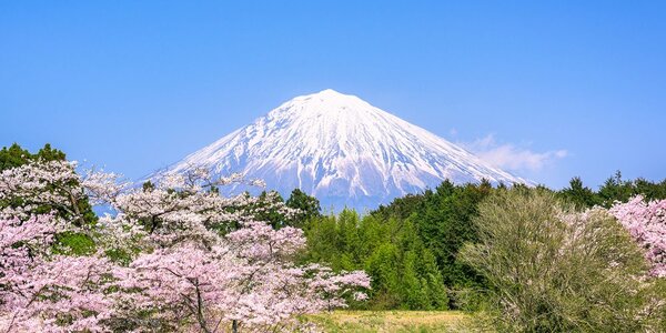 Πίνακας σε καμβά όρος Fuji