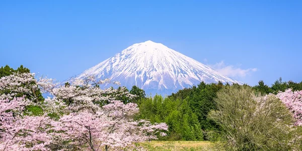 Πίνακας σε καμβά όρος Fuji