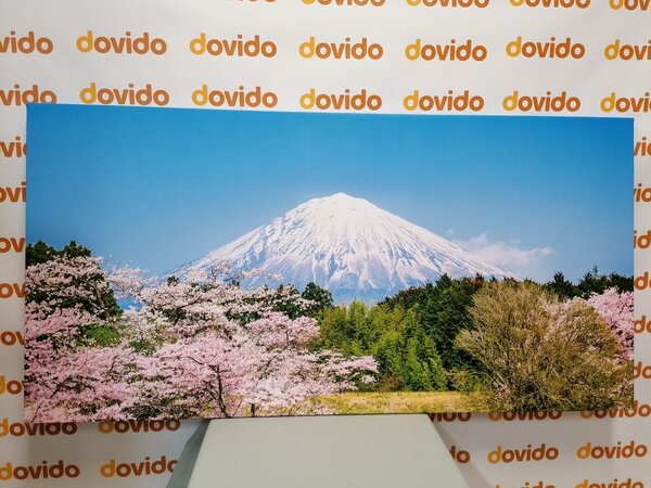 Πίνακας σε καμβά όρος Fuji