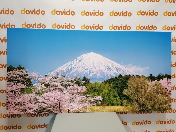 Πίνακας σε καμβά όρος Fuji