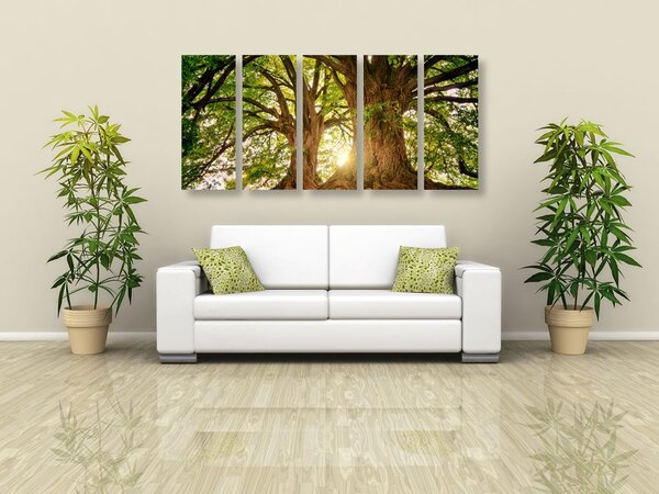 Πεντάπτυχος πίνακας μεγαλοπρεπή δέντρα